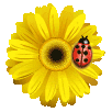 Fr&uuml;hling in Fulda